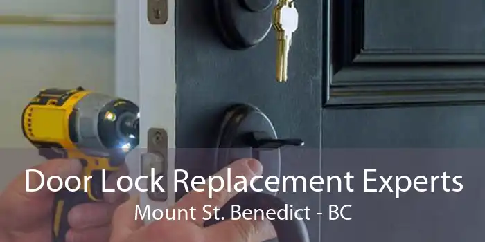 Door Lock Replacement Experts Mount St. Benedict - BC