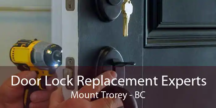 Door Lock Replacement Experts Mount Trorey - BC