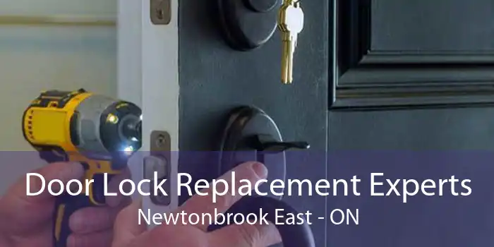 Door Lock Replacement Experts Newtonbrook East - ON