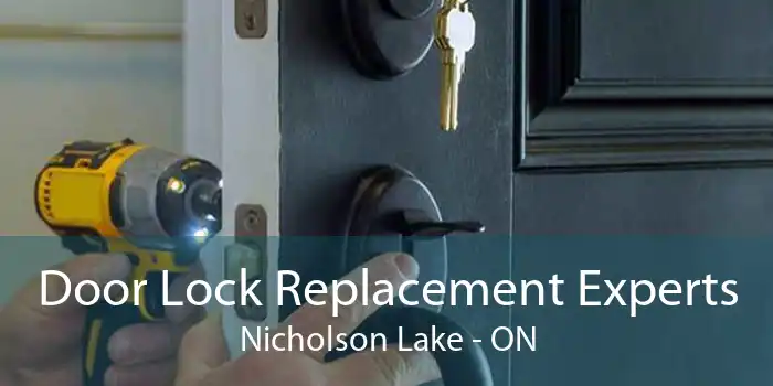 Door Lock Replacement Experts Nicholson Lake - ON
