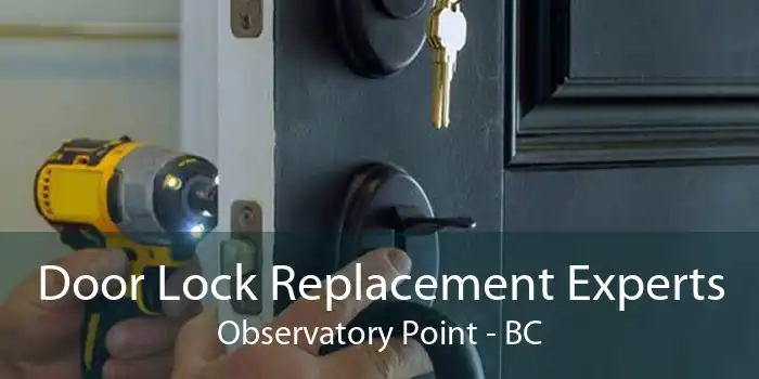 Door Lock Replacement Experts Observatory Point - BC