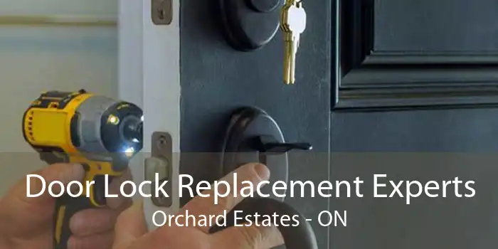 Door Lock Replacement Experts Orchard Estates - ON