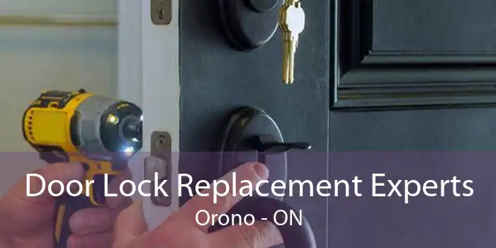 Door Lock Replacement Experts Orono - ON