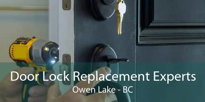 Door Lock Replacement Experts Owen Lake - BC