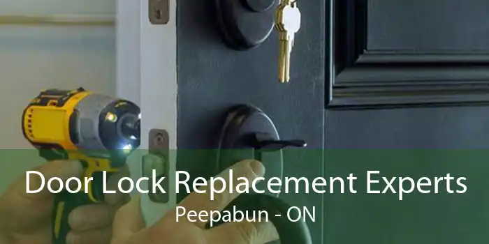 Door Lock Replacement Experts Peepabun - ON