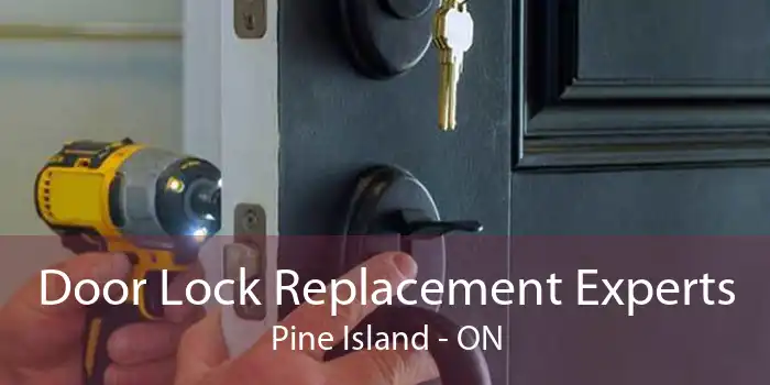 Door Lock Replacement Experts Pine Island - ON