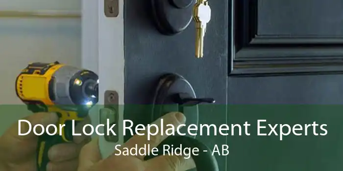 Door Lock Replacement Experts Saddle Ridge - AB