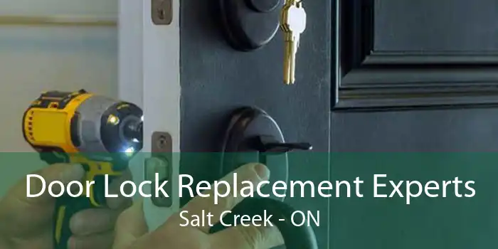 Door Lock Replacement Experts Salt Creek - ON