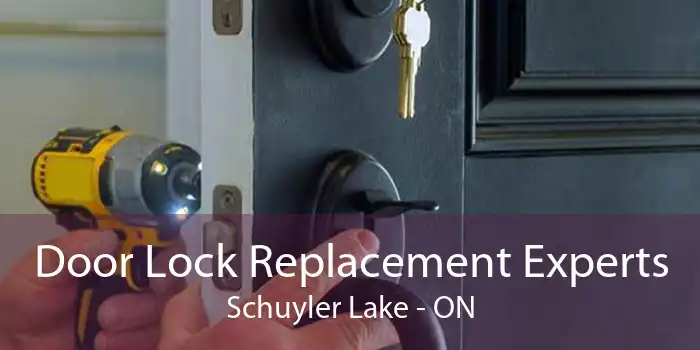 Door Lock Replacement Experts Schuyler Lake - ON