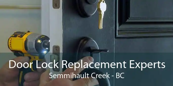 Door Lock Replacement Experts Semmihault Creek - BC