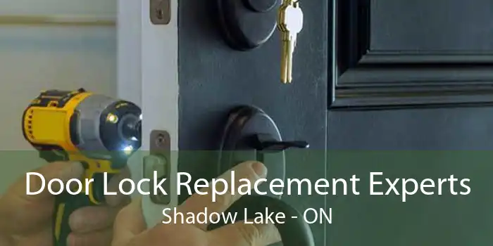 Door Lock Replacement Experts Shadow Lake - ON