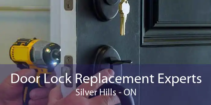 Door Lock Replacement Experts Silver Hills - ON