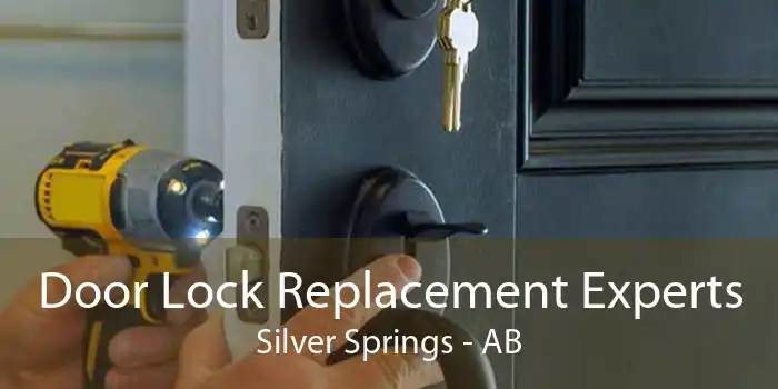 Door Lock Replacement Experts Silver Springs - AB