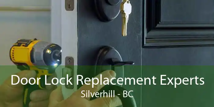 Door Lock Replacement Experts Silverhill - BC