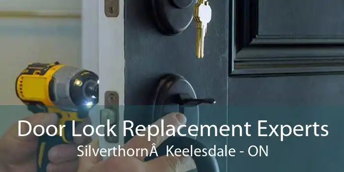 Door Lock Replacement Experts Silverthorn  Keelesdale - ON