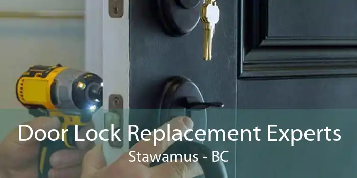 Door Lock Replacement Experts Stawamus - BC