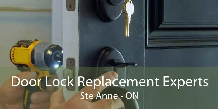 Door Lock Replacement Experts Ste Anne - ON