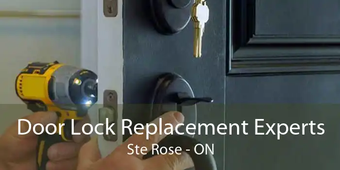 Door Lock Replacement Experts Ste Rose - ON
