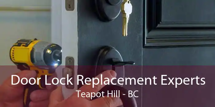 Door Lock Replacement Experts Teapot Hill - BC
