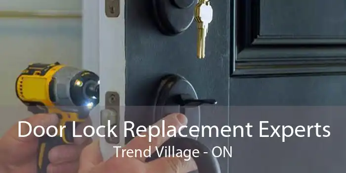 Door Lock Replacement Experts Trend Village - ON