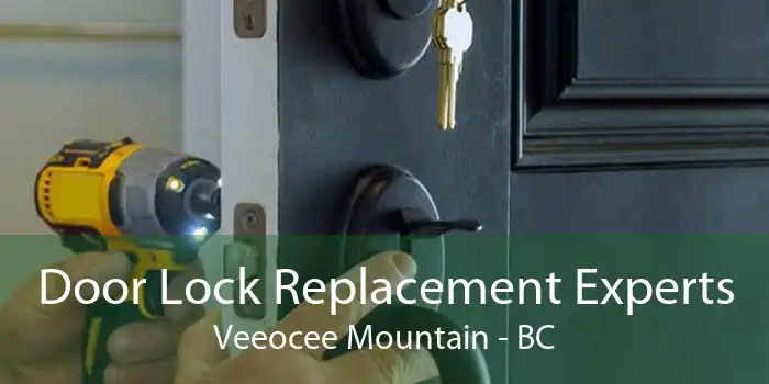 Door Lock Replacement Experts Veeocee Mountain - BC