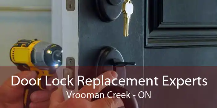 Door Lock Replacement Experts Vrooman Creek - ON