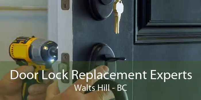 Door Lock Replacement Experts Walts Hill - BC
