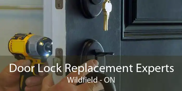Door Lock Replacement Experts Wildfield - ON