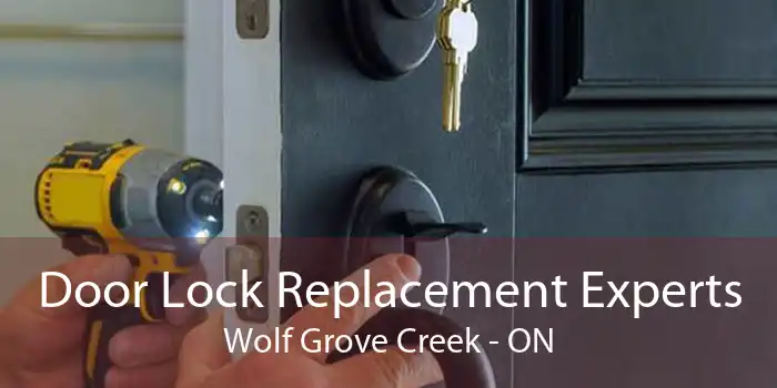 Door Lock Replacement Experts Wolf Grove Creek - ON