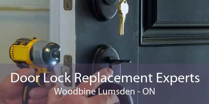 Door Lock Replacement Experts Woodbine Lumsden - ON