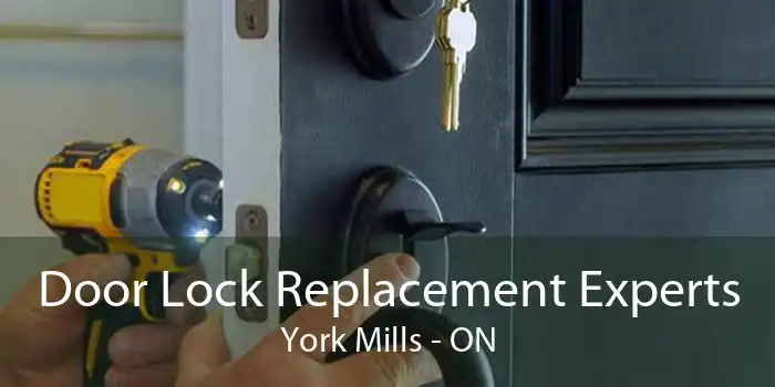 Door Lock Replacement Experts York Mills - ON