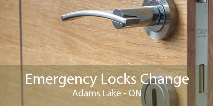 Emergency Locks Change Adams Lake - ON
