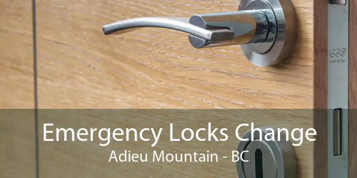 Emergency Locks Change Adieu Mountain - BC