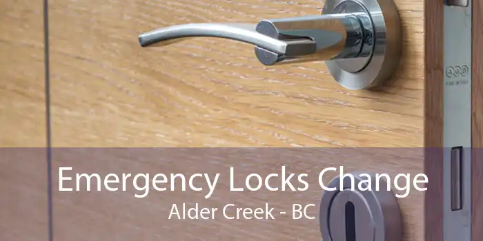 Emergency Locks Change Alder Creek - BC