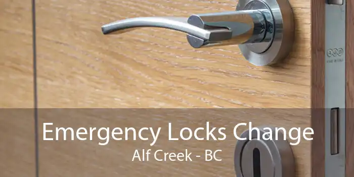 Emergency Locks Change Alf Creek - BC