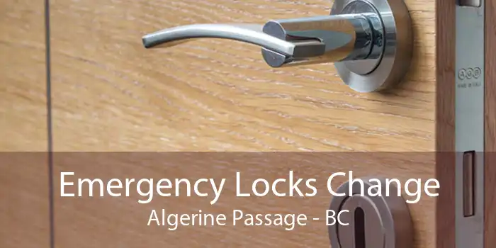 Emergency Locks Change Algerine Passage - BC
