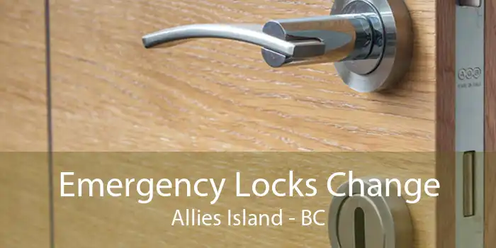 Emergency Locks Change Allies Island - BC