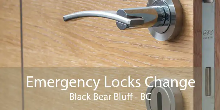 Emergency Locks Change Black Bear Bluff - BC