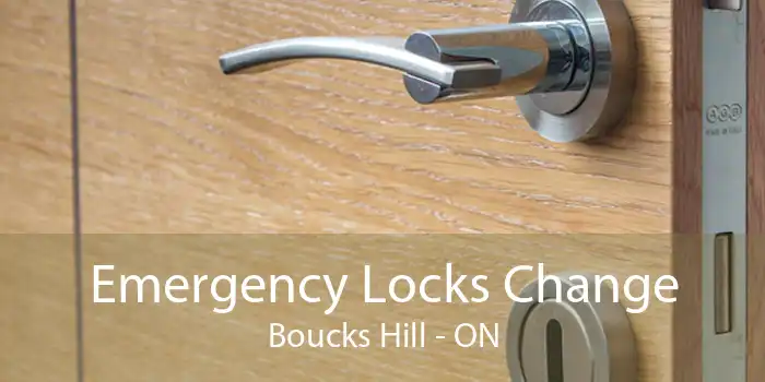 Emergency Locks Change Boucks Hill - ON