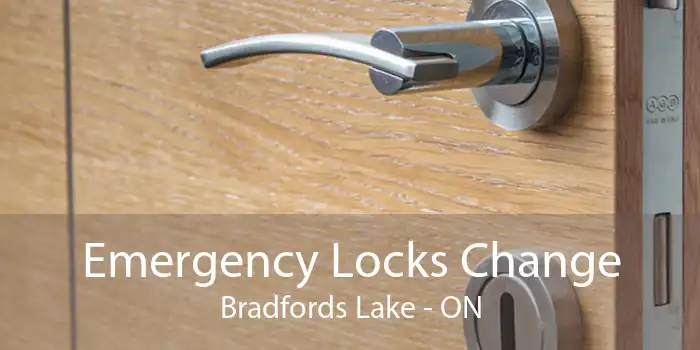 Emergency Locks Change Bradfords Lake - ON