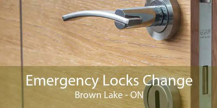 Emergency Locks Change Brown Lake - ON