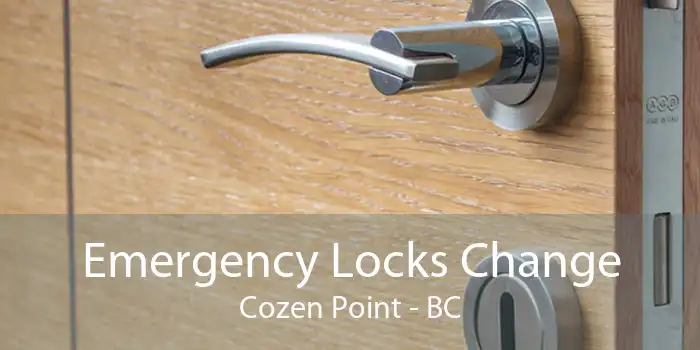Emergency Locks Change Cozen Point - BC
