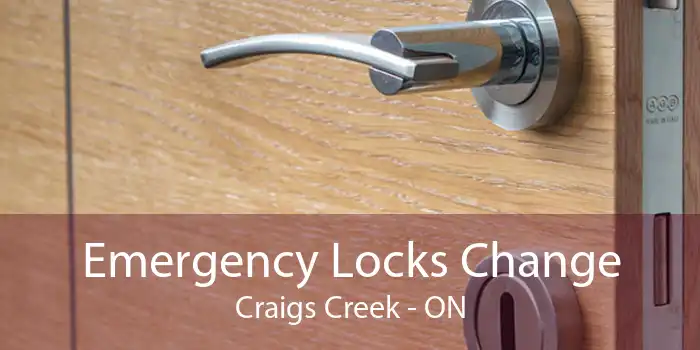 Emergency Locks Change Craigs Creek - ON