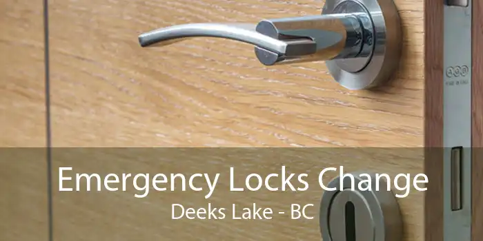 Emergency Locks Change Deeks Lake - BC
