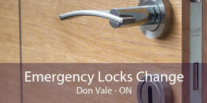 Emergency Locks Change Don Vale - ON
