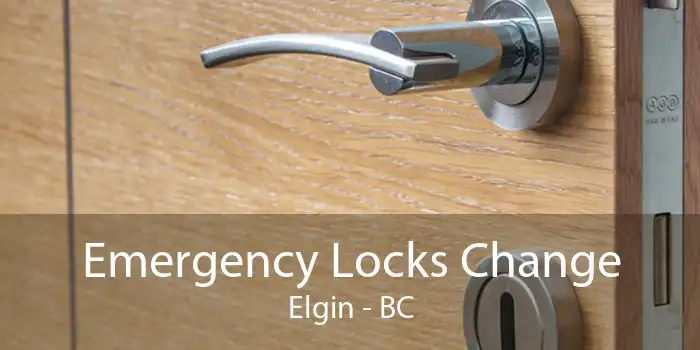 Emergency Locks Change Elgin - BC