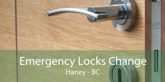 Emergency Locks Change Haney - BC