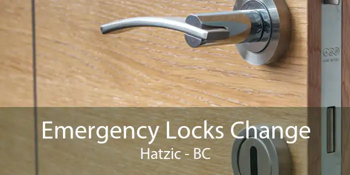 Emergency Locks Change Hatzic - BC