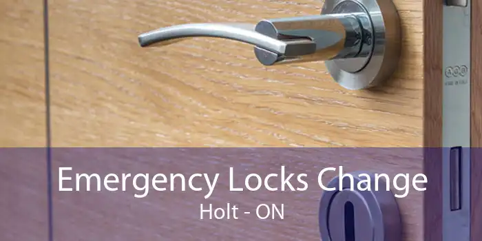 Emergency Locks Change Holt - ON