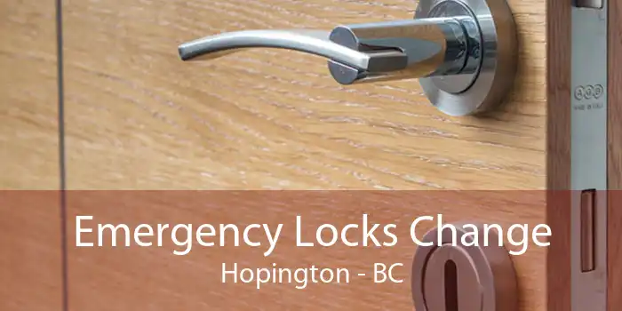 Emergency Locks Change Hopington - BC